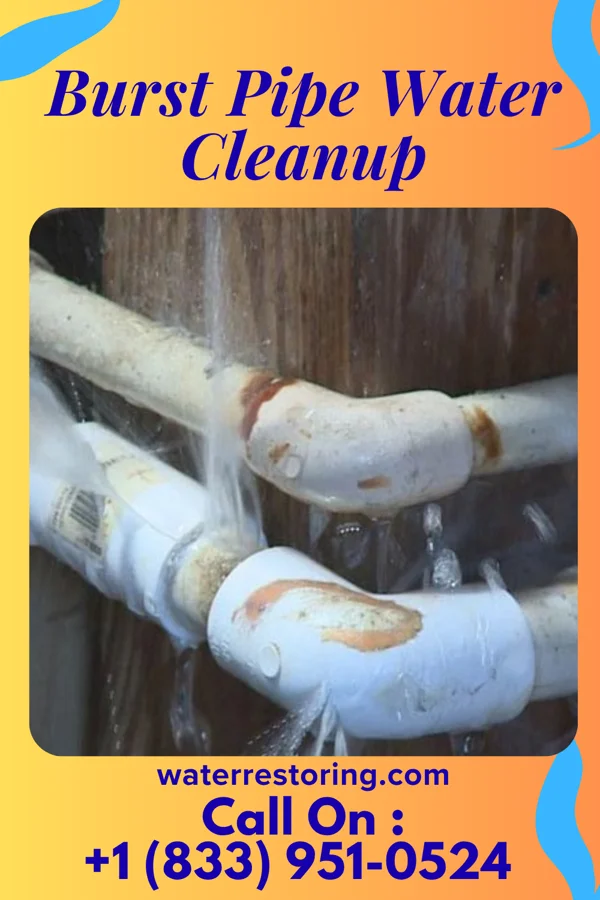 Burst Pipe Water Cleanup in Salem, SD